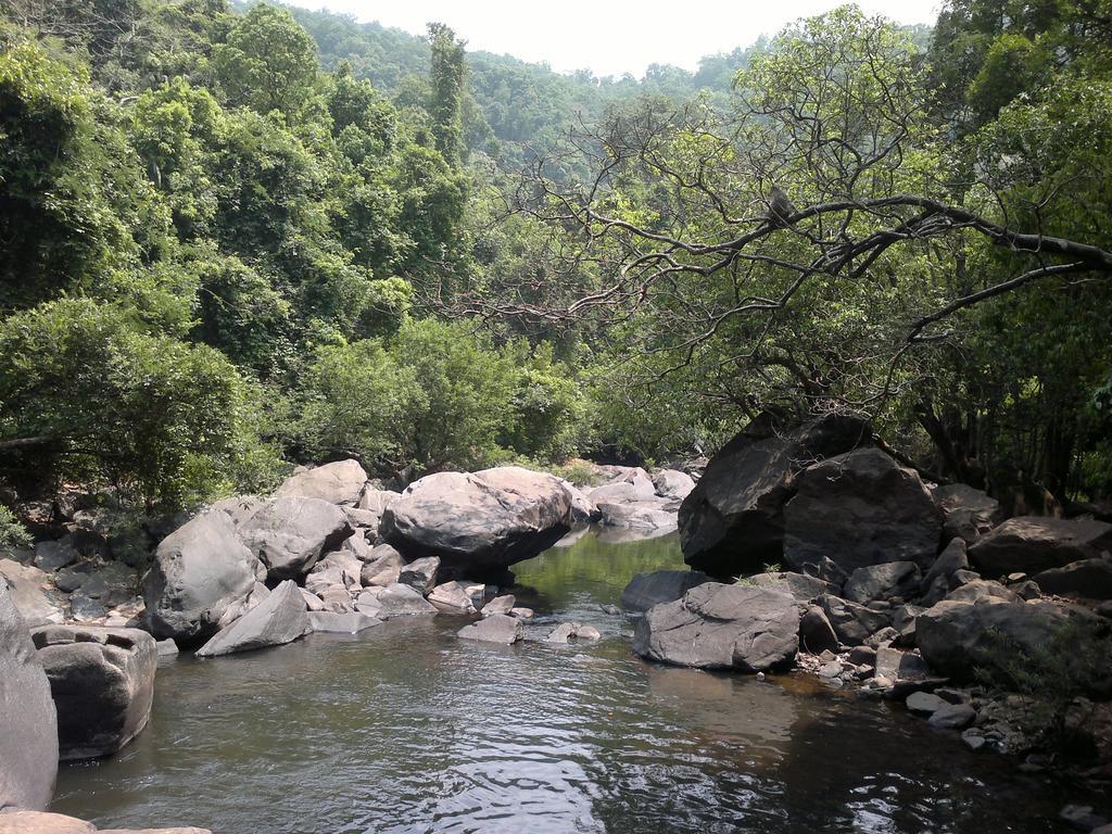 Dudhsagar Plantation Vila Cormonem Exterior foto