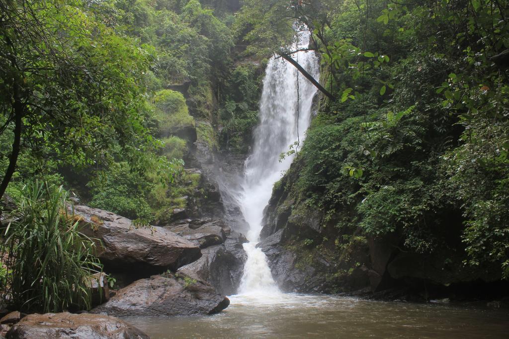 Dudhsagar Plantation Vila Cormonem Exterior foto