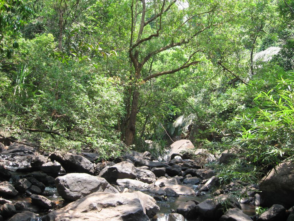 Dudhsagar Plantation Vila Cormonem Exterior foto