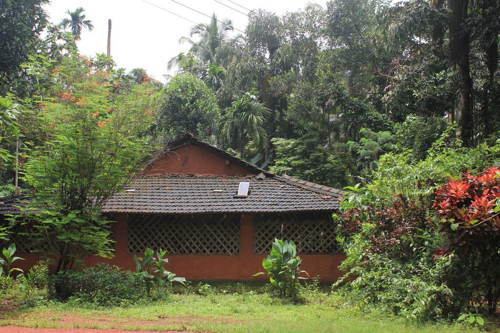 Dudhsagar Plantation Vila Cormonem Exterior foto