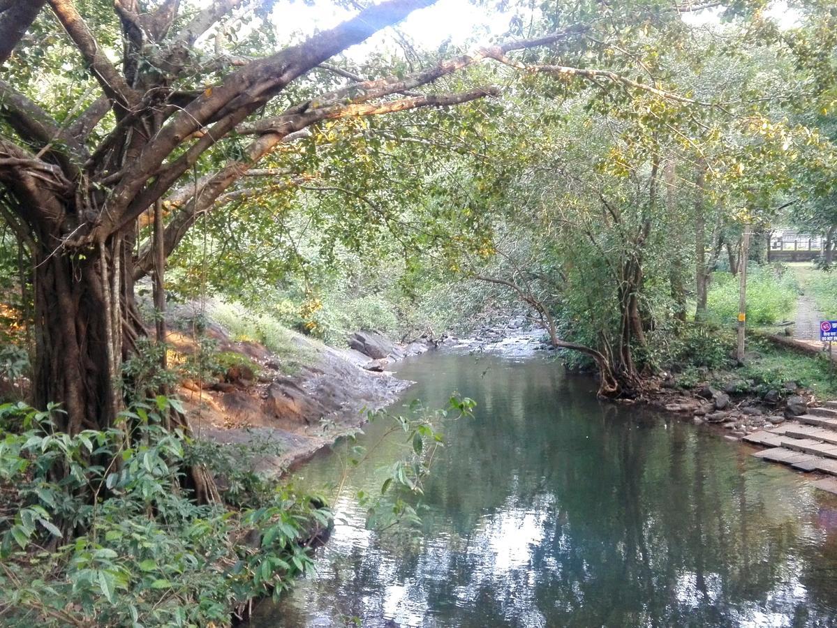 Dudhsagar Plantation Vila Cormonem Exterior foto