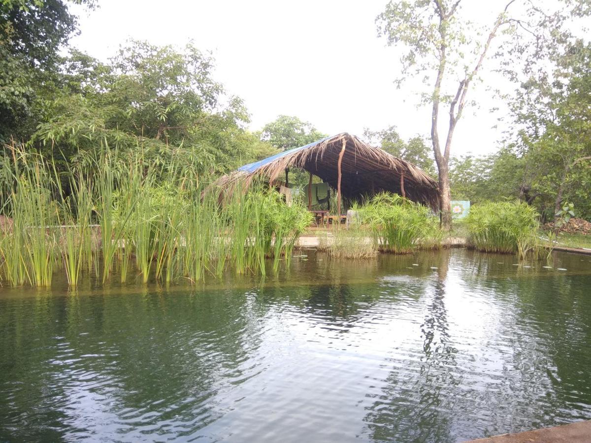 Dudhsagar Plantation Vila Cormonem Exterior foto